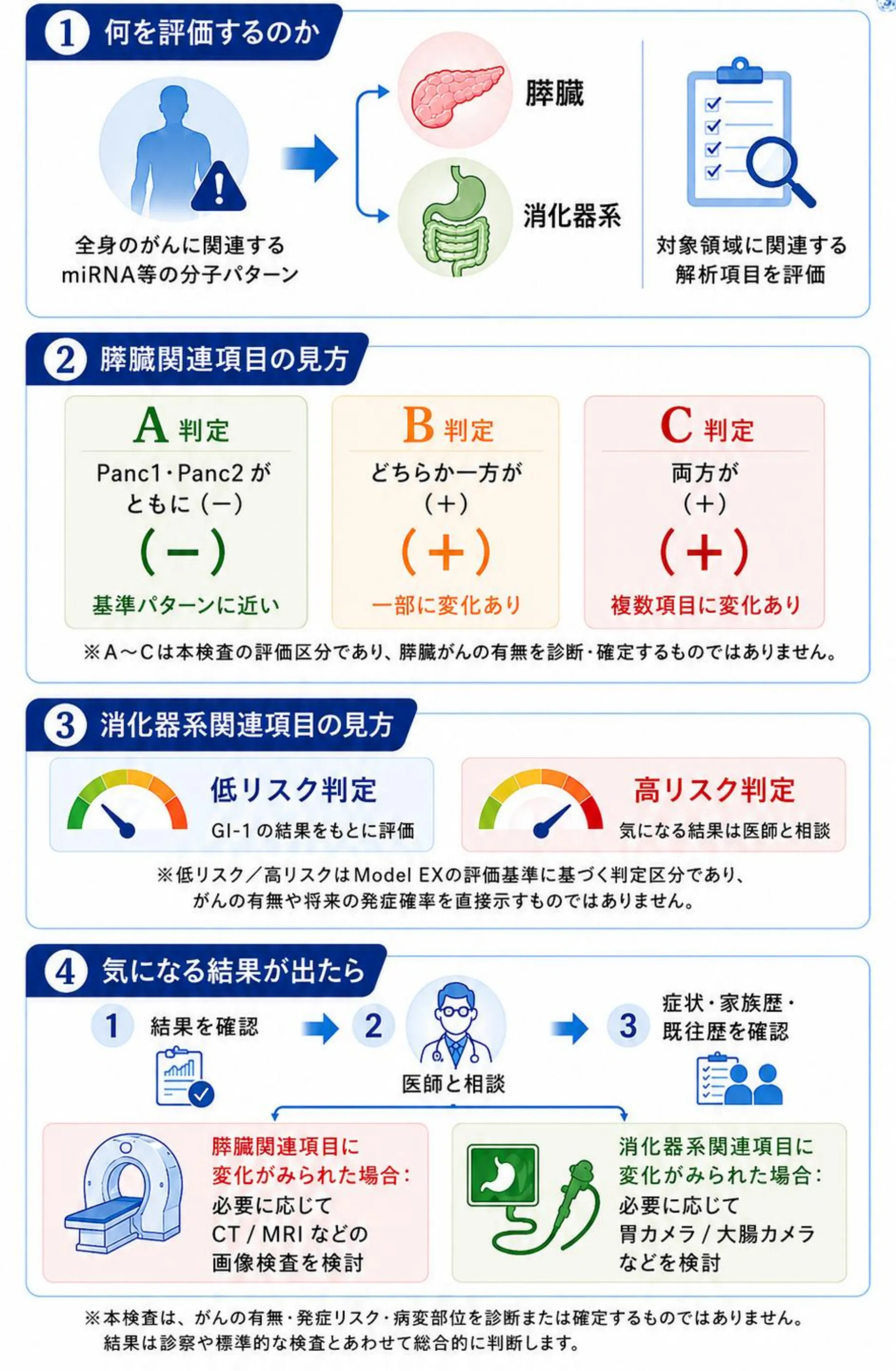 ①何を評価するのか:全身のがんに関連するmiRNA等の分子パターンと、膵臓・消化器系に関連する解析項目。②膵臓関連項目の見方:A判定(Panc1・Panc2がともに−)、B判定(どちらか一方が+)、C判定(両方が+)。③消化器系関連項目の見方:低リスク判定・高リスク判定。④気になる結果が出たら、医師と相談し、必要に応じてCT/MRIなどの画像検査や胃カメラ・大腸カメラなどを検討します。本検査は、がんの有無・発症リスク・病変部位を診断または確定するものではありません。結果は診察や標準的な検査とあわせて総合的に判断します。