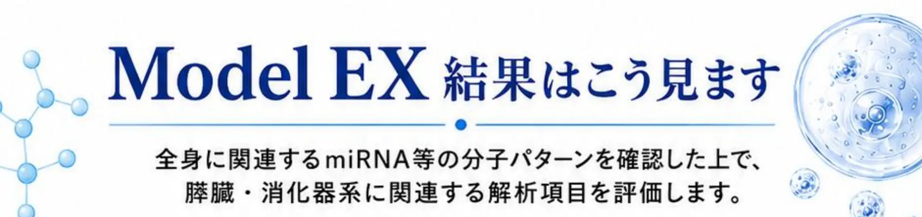 Model EX 結果はこう見ます。全身に関連するmiRNA等の分子パターンを確認した上で、膵臓・消化器系に関連する解析項目を評価します。