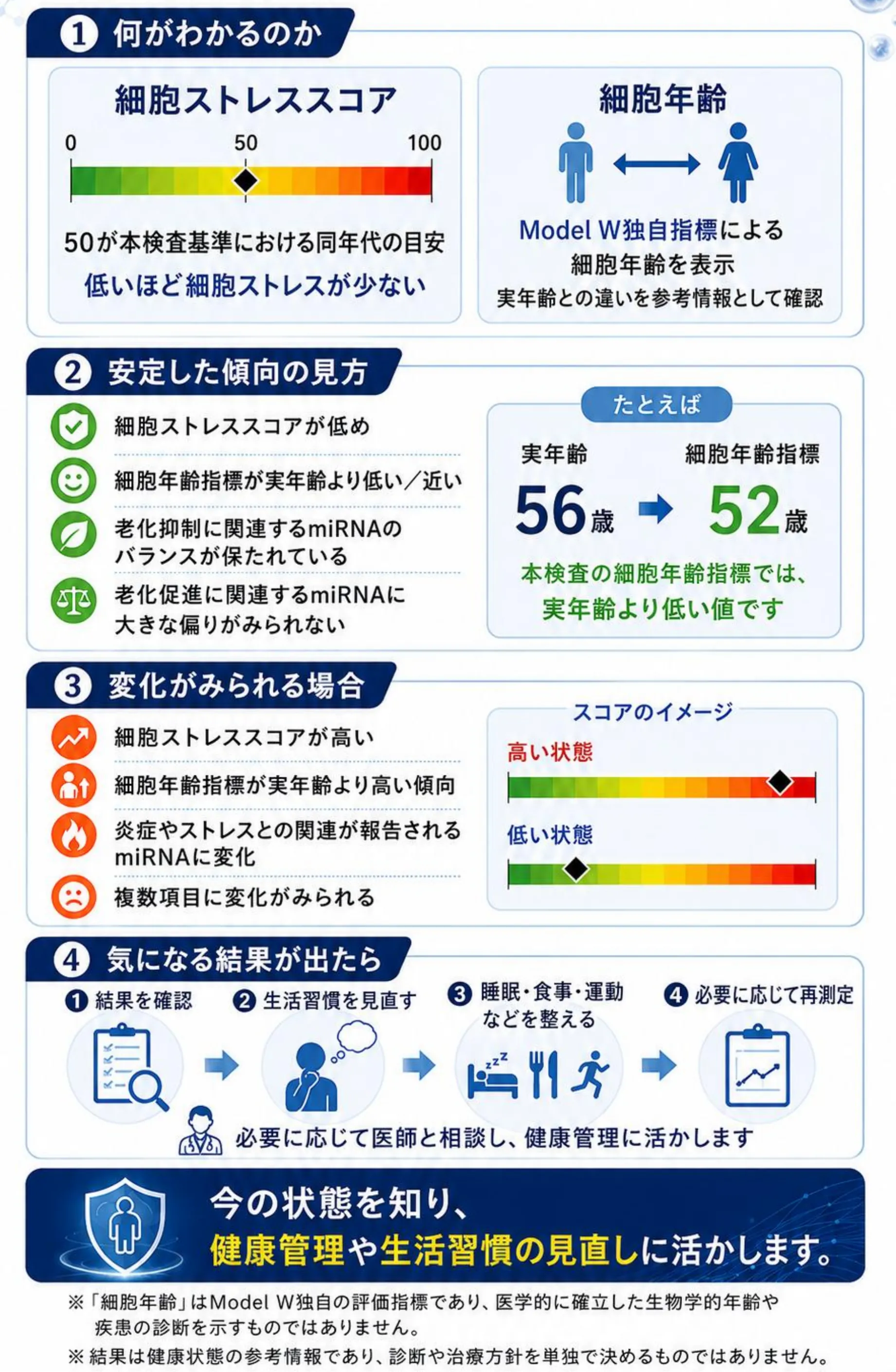 ①何がわかるのか:細胞ストレススコア(0から100で表示)と細胞年齢(Model W独自指標による細胞年齢を表示し、実年齢との差を参考情報として確認)。②安定した傾向の見方。③変化が見られる場合。④気になる結果が出たら、睡眠・食事・運動などを整え、必要に応じて再検査します。今の状態を知り、健康管理や生活習慣の見直しに活かします。「細胞年齢」はModel W独自の評価指標であり、医学的に確立した生物学的年齢や疾患の診断を示すものではありません。結果は健康状態の参考情報であり、診断や治療方針を単独で決めるものではありません。