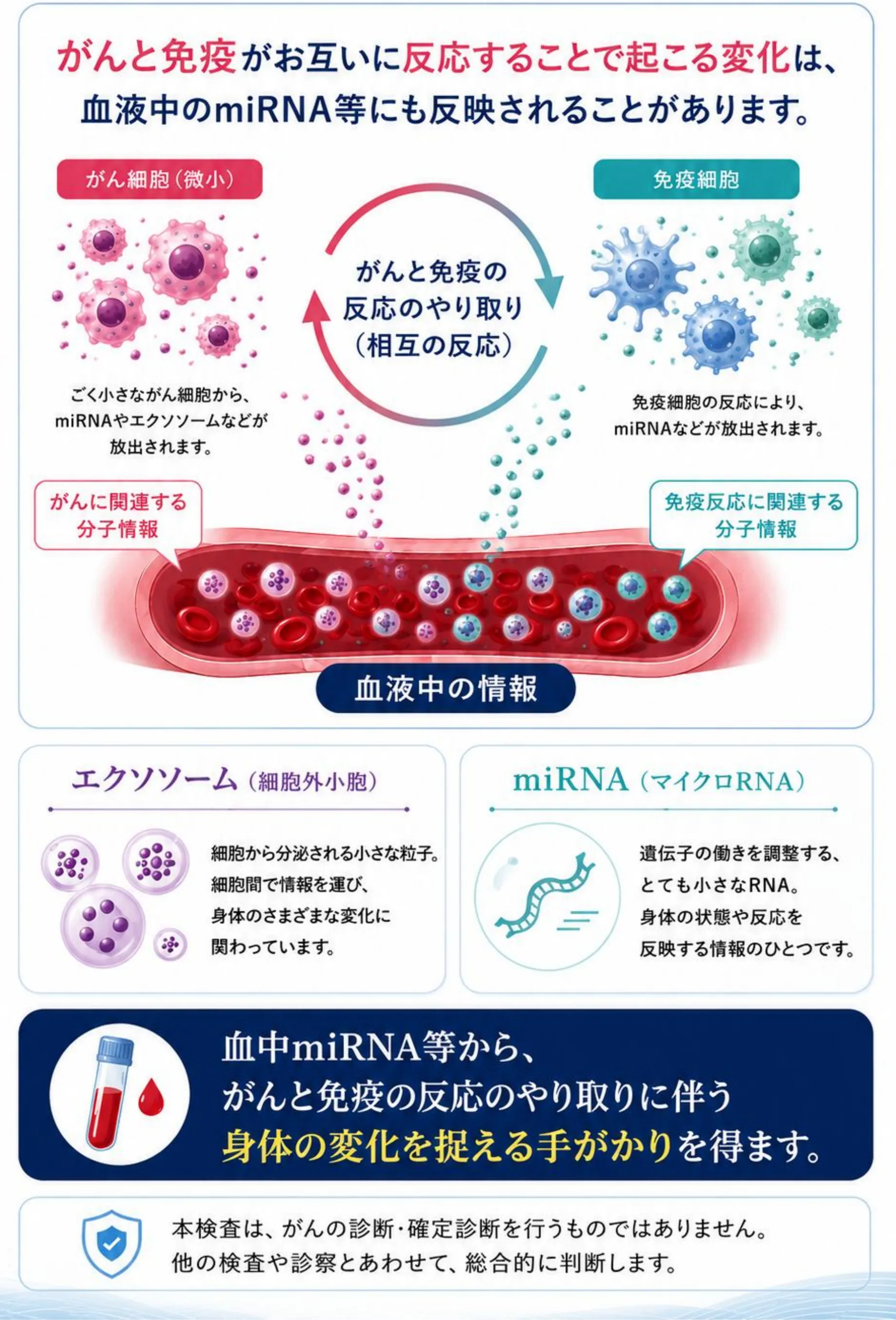 がんと免疫がお互いに反応することで起こる変化は、血液中のmiRNA等にも反映されることがあります。血液中の情報として、エクソソーム(細胞外小胞)とmiRNA(マイクロRNA)があります。血中miRNA等から、がんと免疫の反応のやり取りに伴う身体の変化を捉える手がかりを得ます。本検査は、がんの診断・確定診断を行うものではありません。他の検査や診察とあわせて、総合的に判断します。