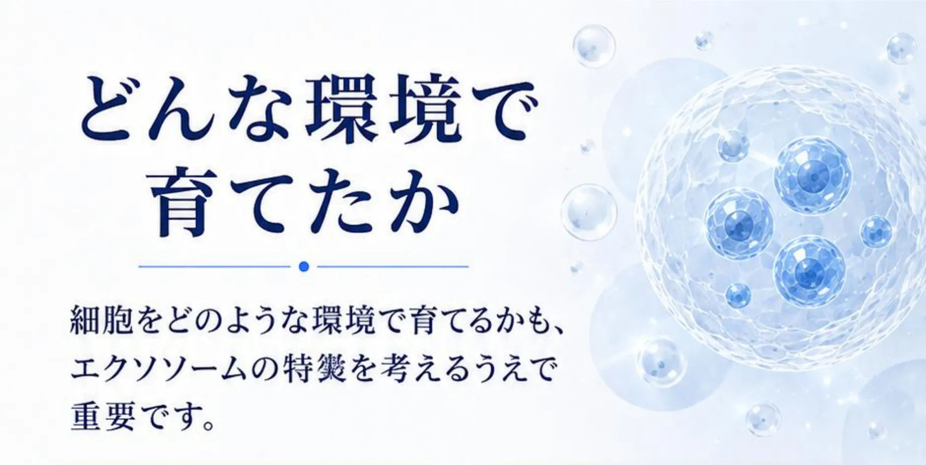 どんな環境で育てたか。細胞をどのような環境で育てるかも、エクソソームの特徴を考えるうえで重要です。