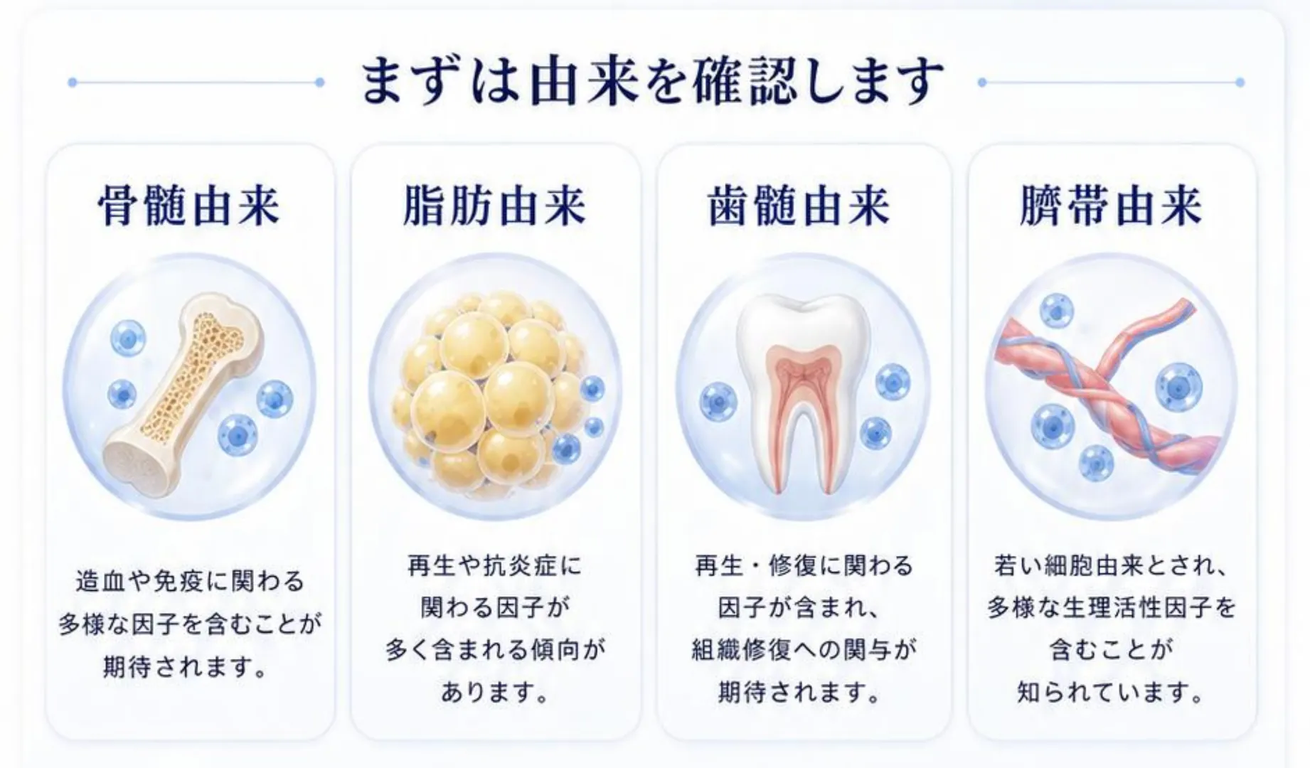 まずは由来を確認します。骨髄由来・脂肪由来・歯髄由来・臍帯由来の4種類の特徴を並べた図