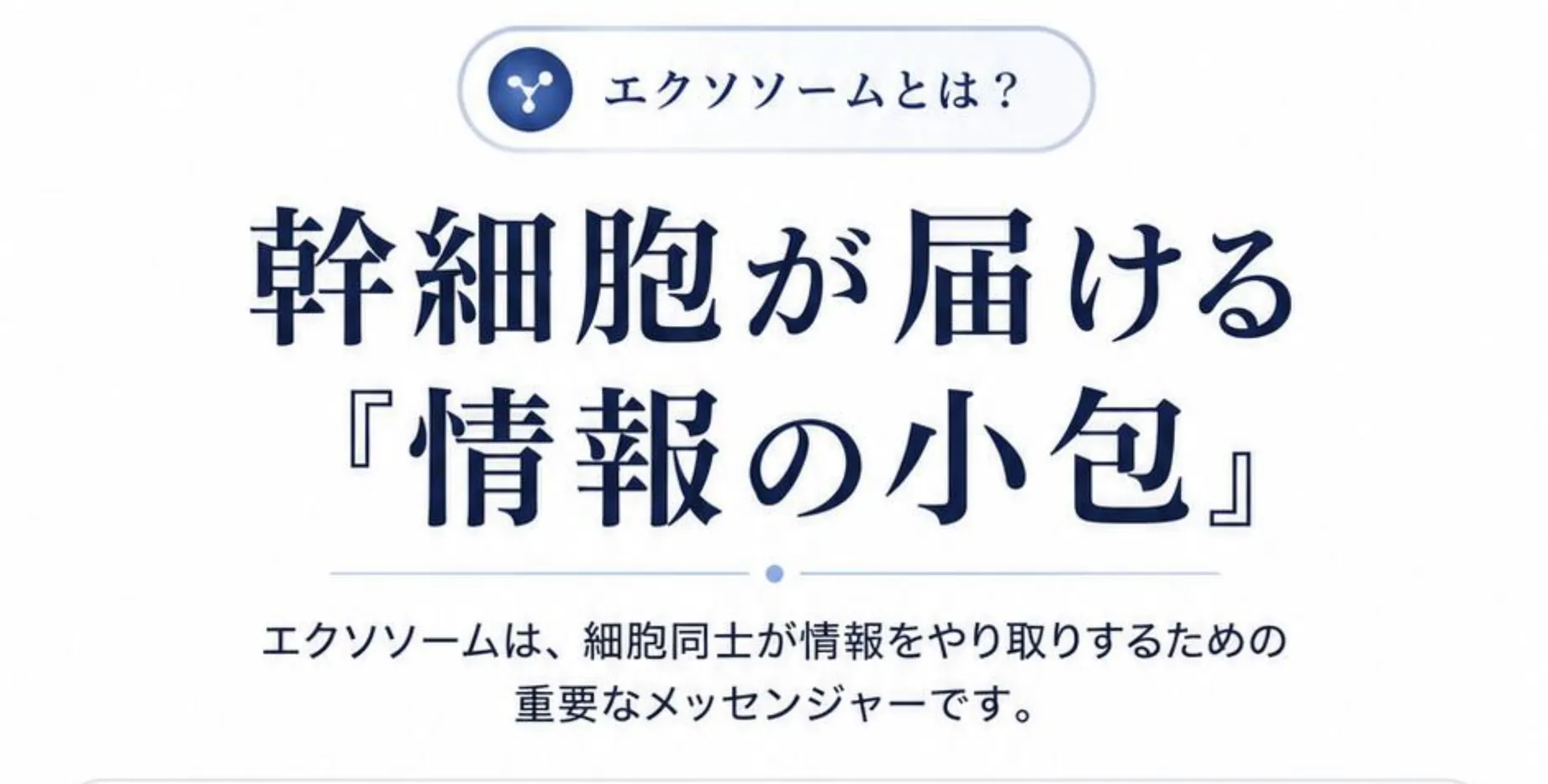 エクソソームとは? 幹細胞が届ける『情報の小包』。エクソソームは、細胞同士が情報をやり取りするための重要なメッセンジャーです。