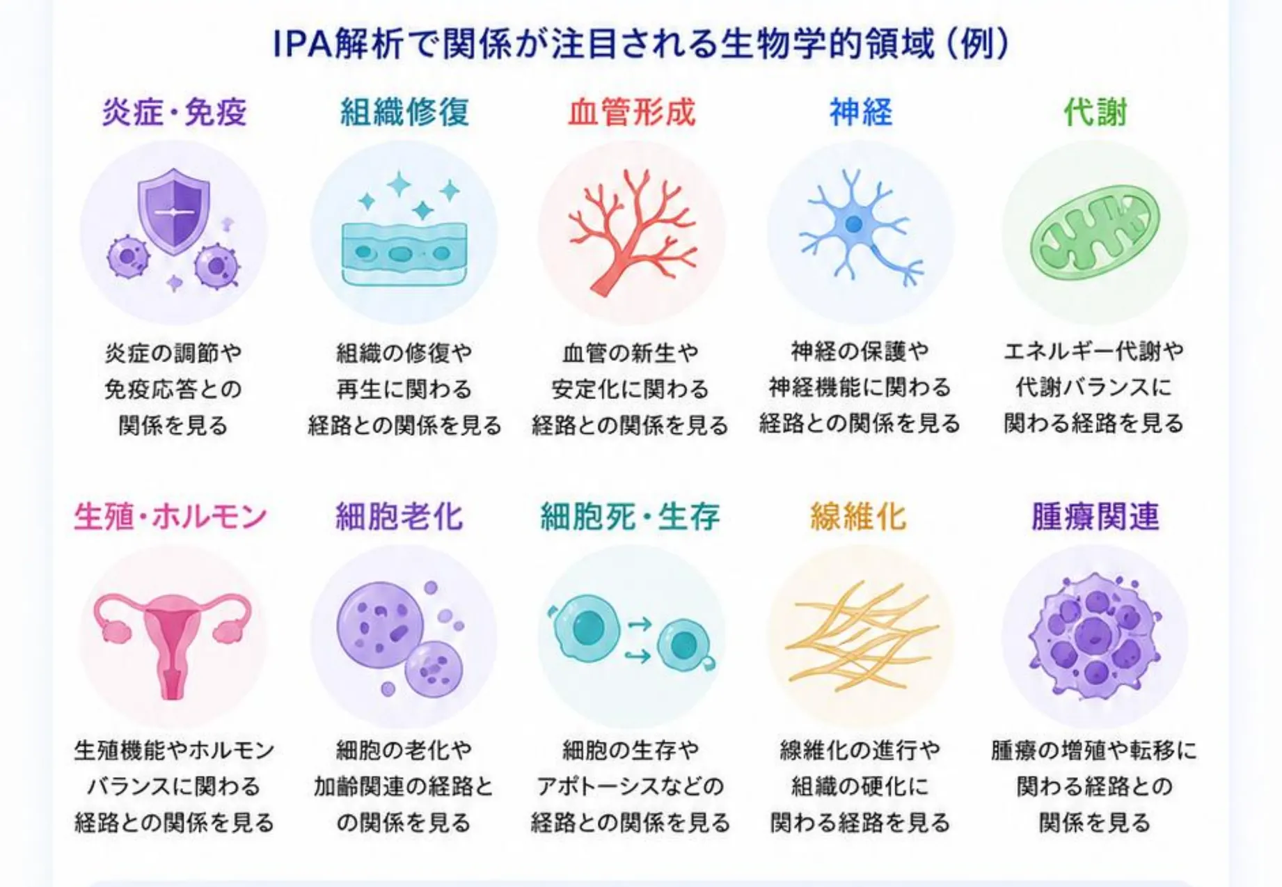 IPA解析で関係が注目される生物学的領域(例)。炎症・免疫、組織修復、血管形成、神経、代謝、生殖・ホルモン、細胞老化、細胞死・生存、線維化、腫瘍関連の10領域を示す図