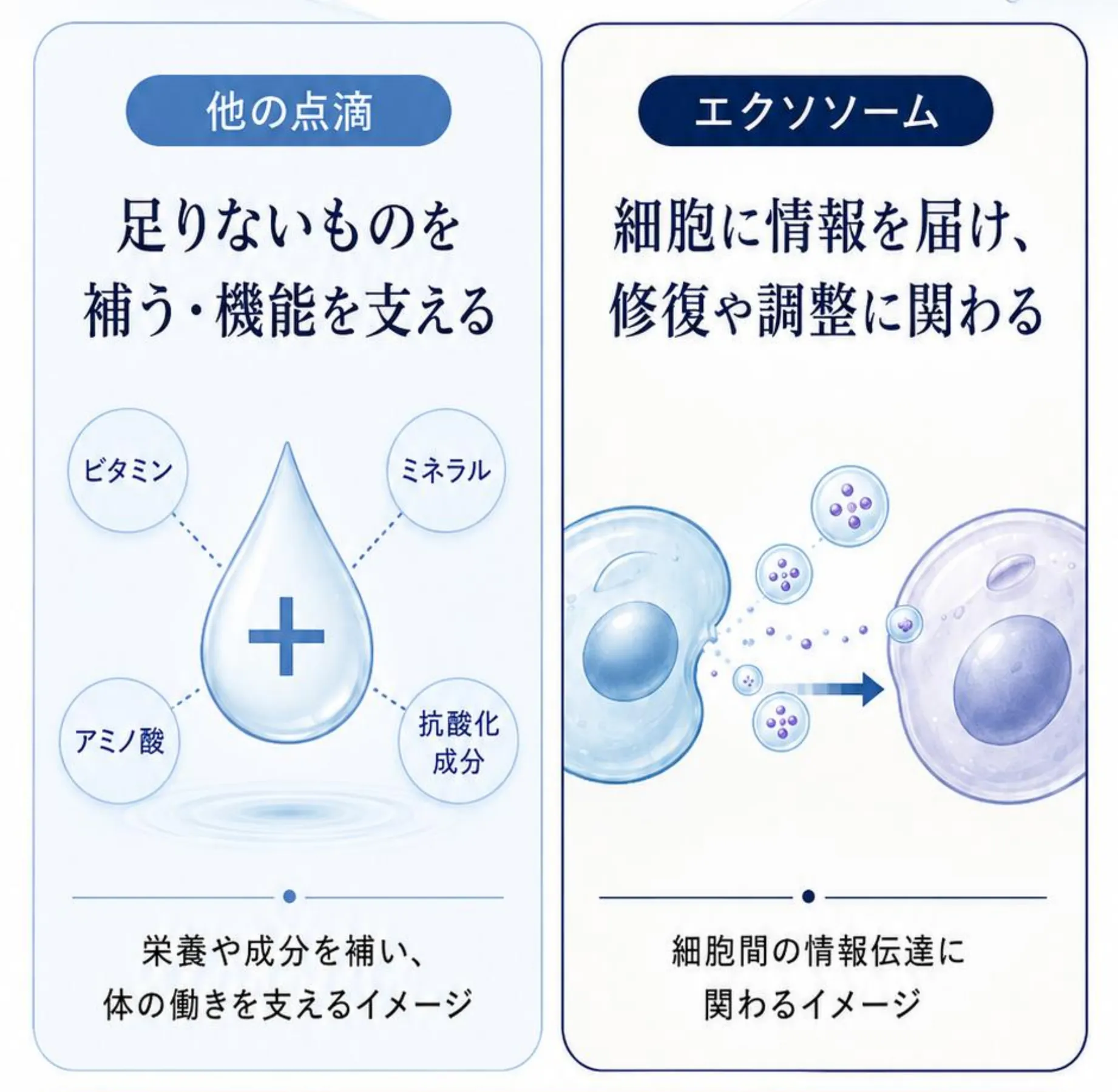 他の点滴(足りないものを補う・機能を支える。ビタミン、ミネラル、アミノ酸、抗酸化成分)と、エクソソーム(細胞に情報を届け、修復や調整に関わる)の比較図