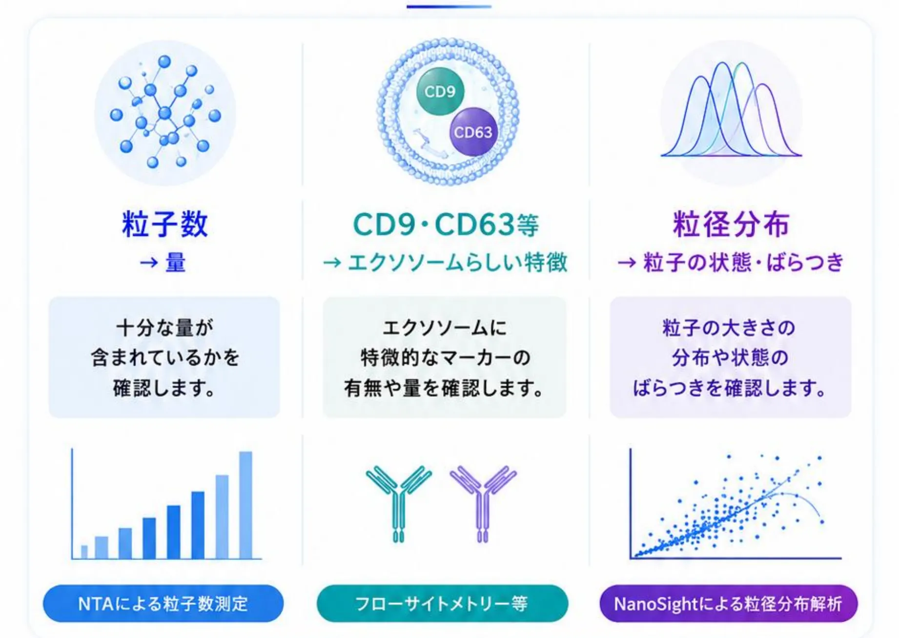 確認する3つのポイント。粒子数(量)、CD9・CD63等(エクソソームらしい特徴)、粒径分布(粒子の状態・ばらつき)