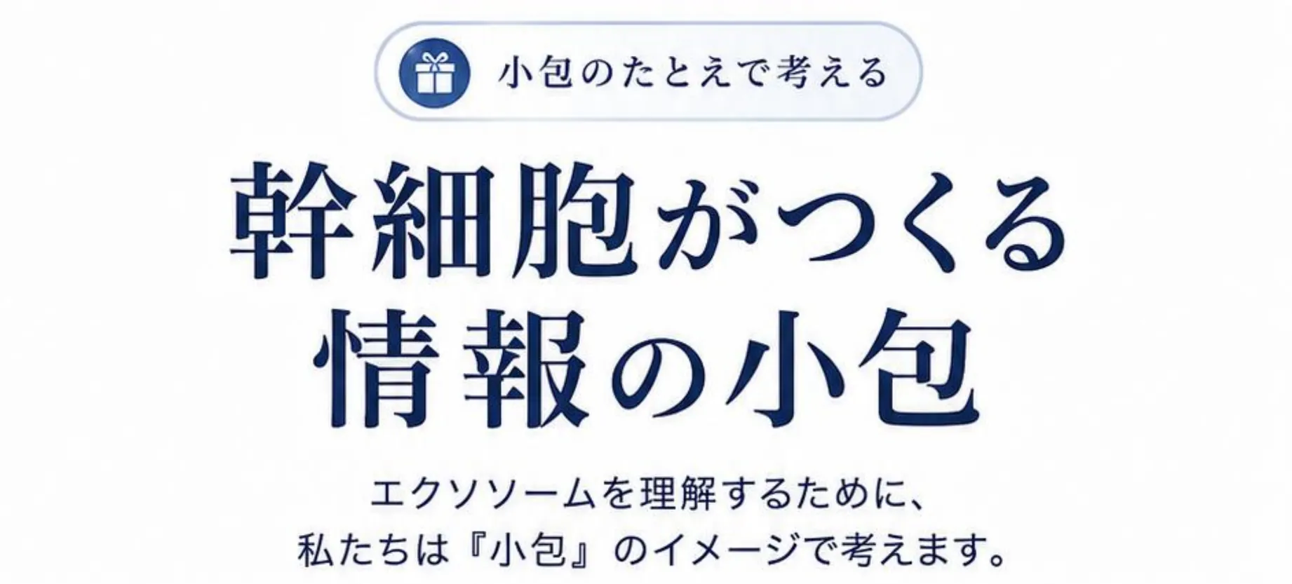 小包のたとえで考える。幹細胞がつくる情報の小包。エクソソームを理解するために、私たちは『小包』のイメージで考えます。