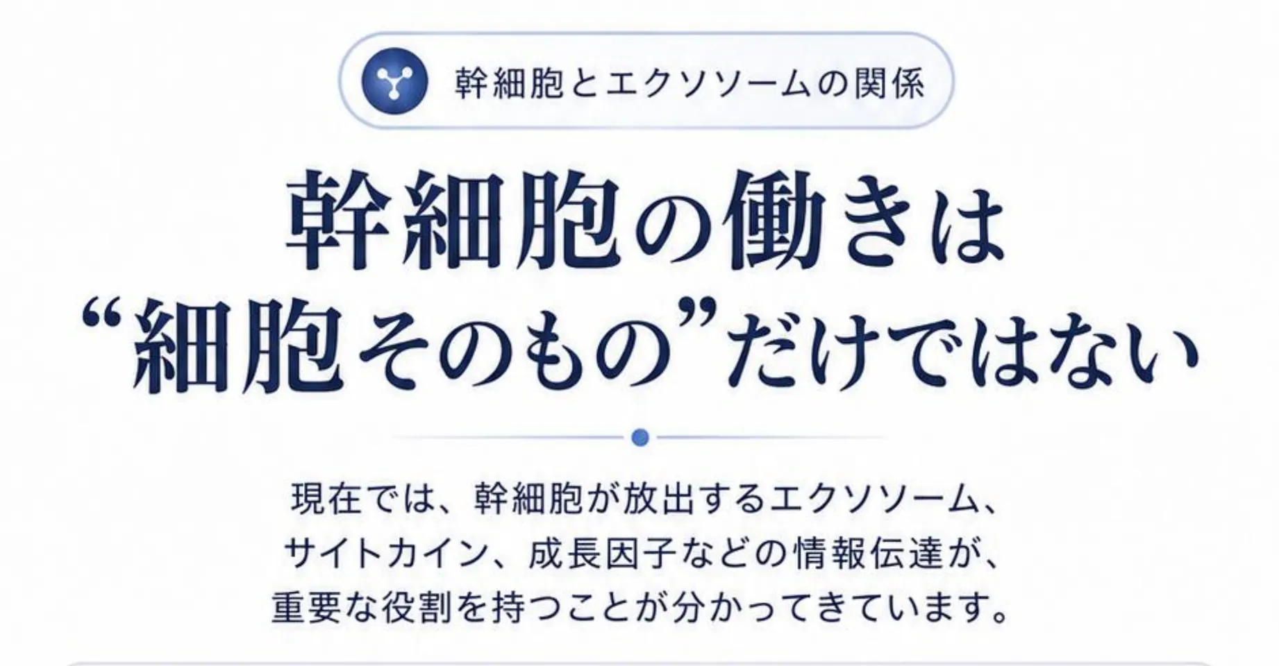 幹細胞とエクソソームの関係。幹細胞の働きは“細胞そのもの”だけではない。現在では、幹細胞が放出するエクソソーム、サイトカイン、成長因子などの情報伝達が、重要な役割を持つことが分かってきています。