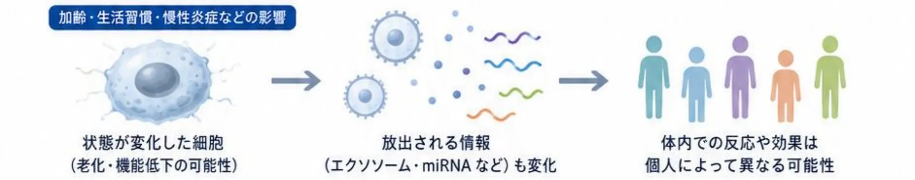 加齢・生活習慣・慢性炎症などの影響で状態が変化した細胞から放出される情報も変化し、体内での反応や効果は個人によって異なる可能性があることを示す図