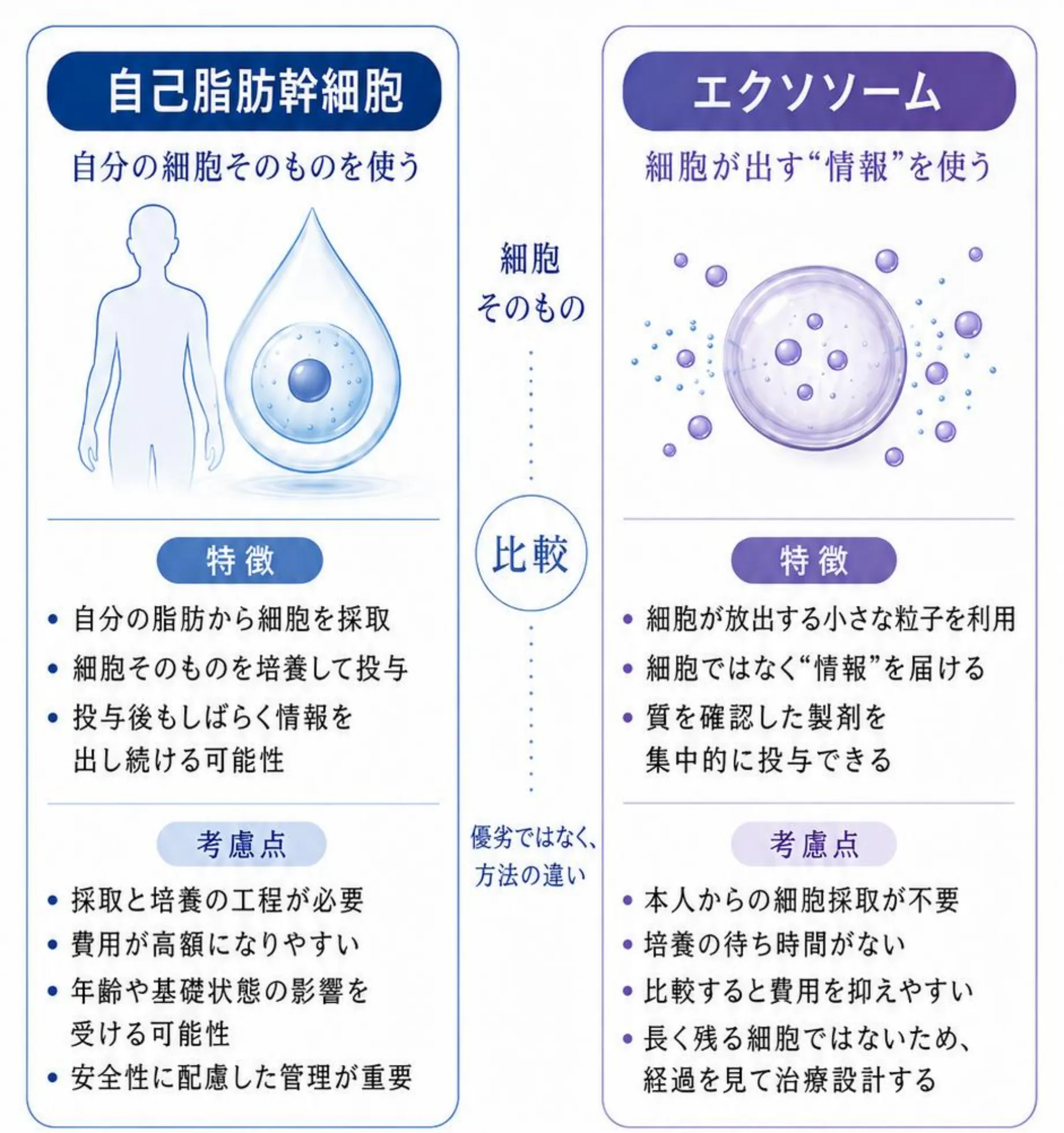 自己脂肪幹細胞(自分の細胞そのものを使う)とエクソソーム(細胞が出す“情報”を使う)の特徴と考慮点を並べた比較図