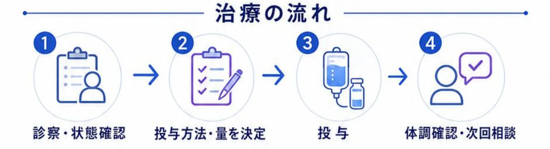 治療の流れ。1 診察・状態確認、2 投与方法・量を決定、3 投与、4 体調確認・次回相談