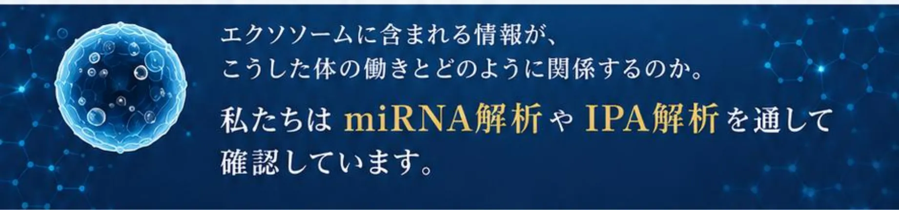 エクソソームに含まれる情報が、こうした体の働きとどのように関係するのか。私たちはmiRNA解析やIPA解析を通して確認しています